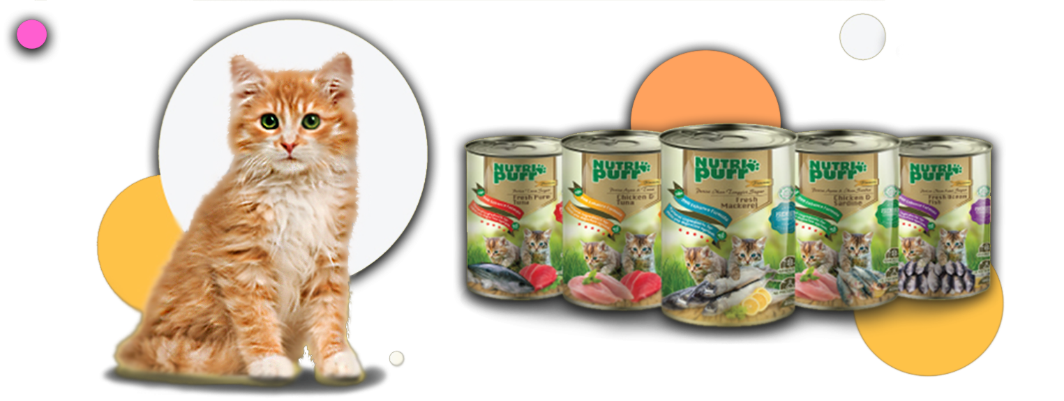 Nutripurr, Everday, Snack Supplier Malaysia , 猫粮 , 零食批发 , Borong Makanan Ringan, makanan kucing